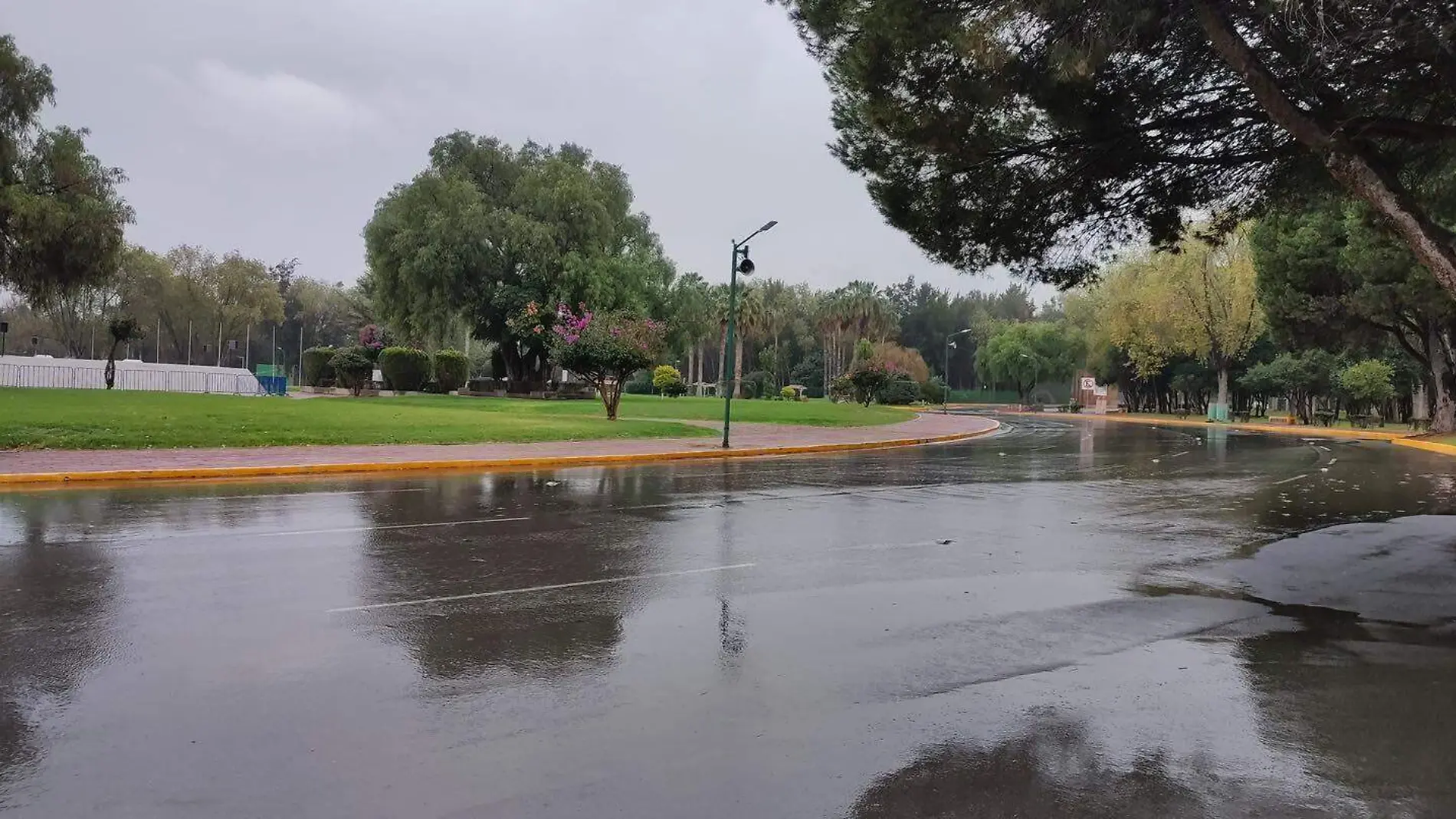 lluvia en el parque